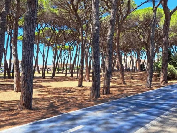 appartamento in vendita a Follonica
