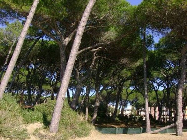 appartamento in vendita a Follonica