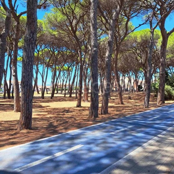appartamento in vendita a Follonica