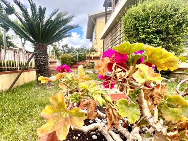 casa indipendente in vendita a Follonica