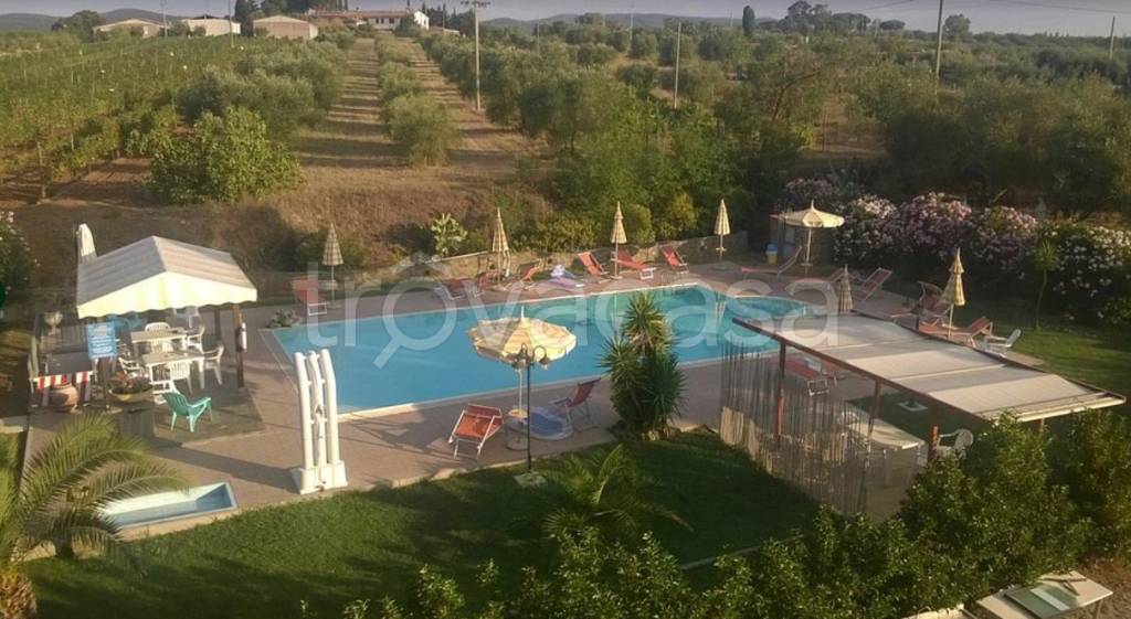 negozio in vendita a Follonica
