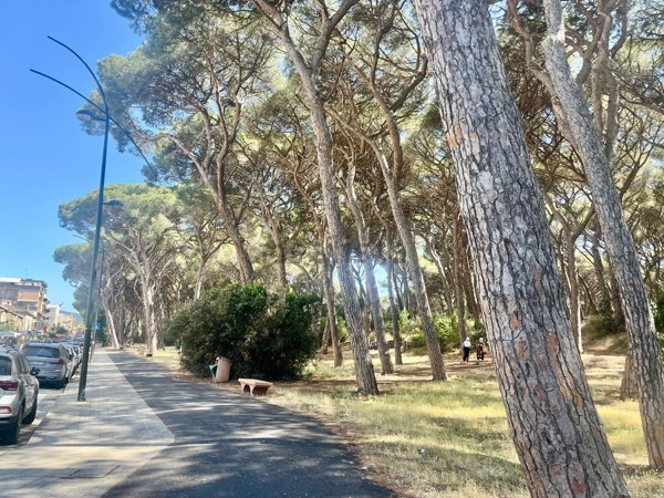 negozio in vendita a Follonica