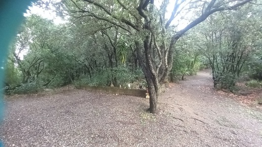 casale in vendita a Follonica