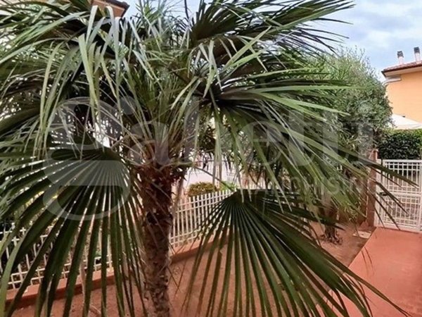 appartamento in vendita a Follonica in zona Area Industriale