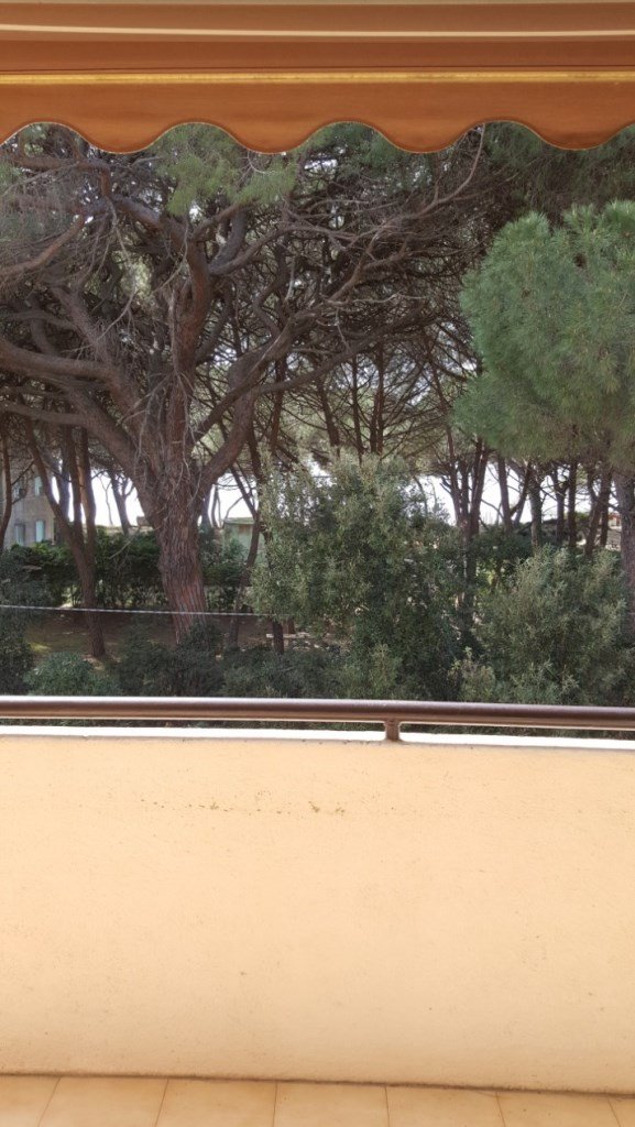 appartamento in vendita a Follonica