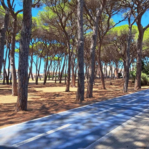 appartamento in vendita a Follonica in zona Area Industriale
