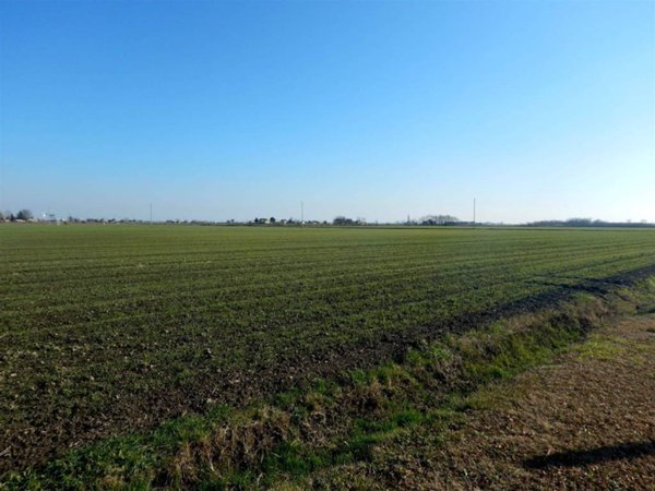 terreno agricolo in vendita a Follonica in zona Area Industriale