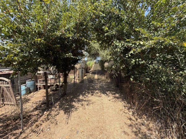 terreno agricolo in vendita a Follonica in zona Prato Ranieri