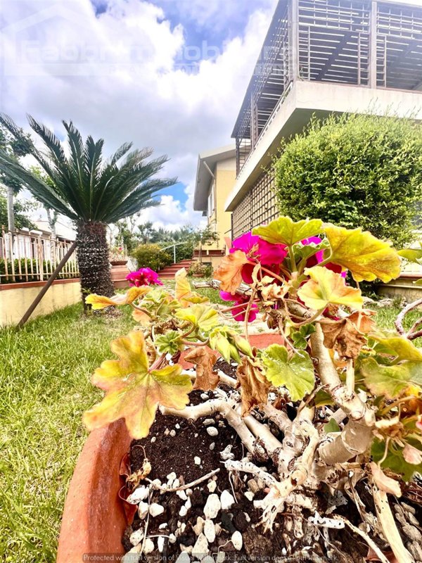 casa indipendente in vendita a Follonica