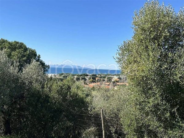 terreno agricolo in vendita a Follonica