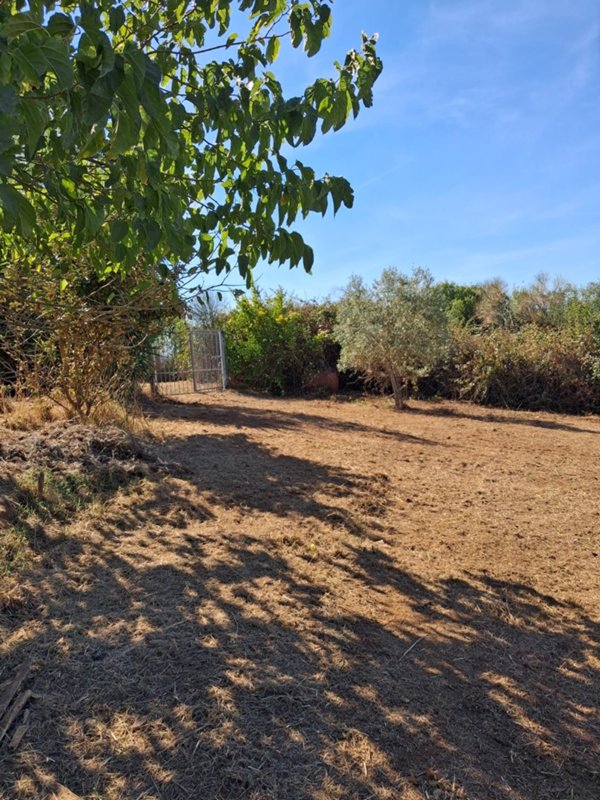 terreno in vendita a Follonica