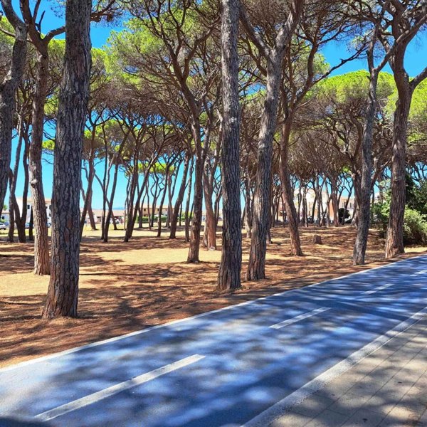 appartamento in vendita a Follonica in zona Area Industriale