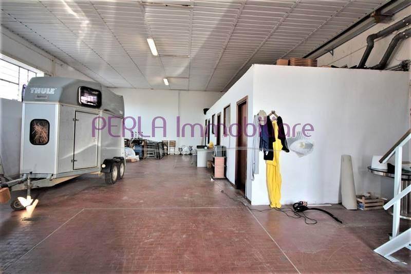 appartamento in vendita a Follonica