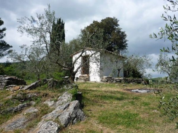 terreno agricolo in vendita a Gavorrano in zona Caldana