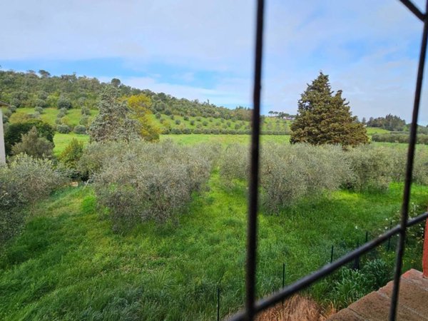 appartamento in vendita a Gavorrano