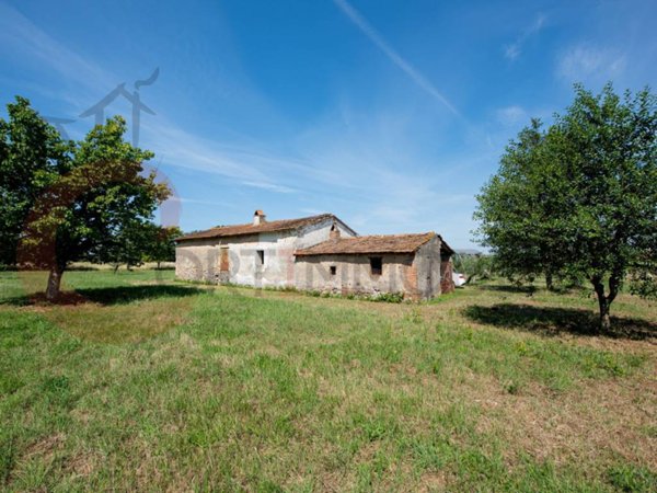 terreno agricolo in vendita a Gavorrano in zona Bagno di Gavorrano