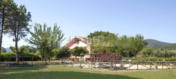 appartamento in vendita a Gavorrano