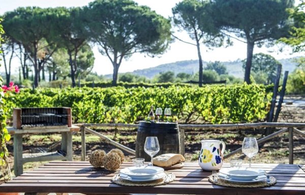 casa indipendente in vendita a Gavorrano in zona Ravi