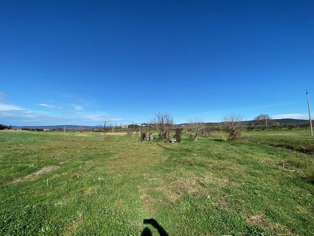 terreno agricolo in vendita a Gavorrano