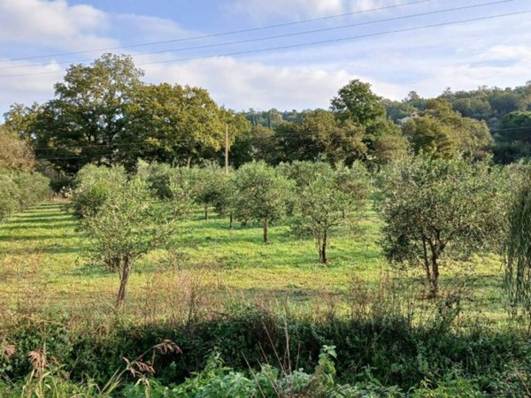 terreno agricolo in vendita a Gavorrano