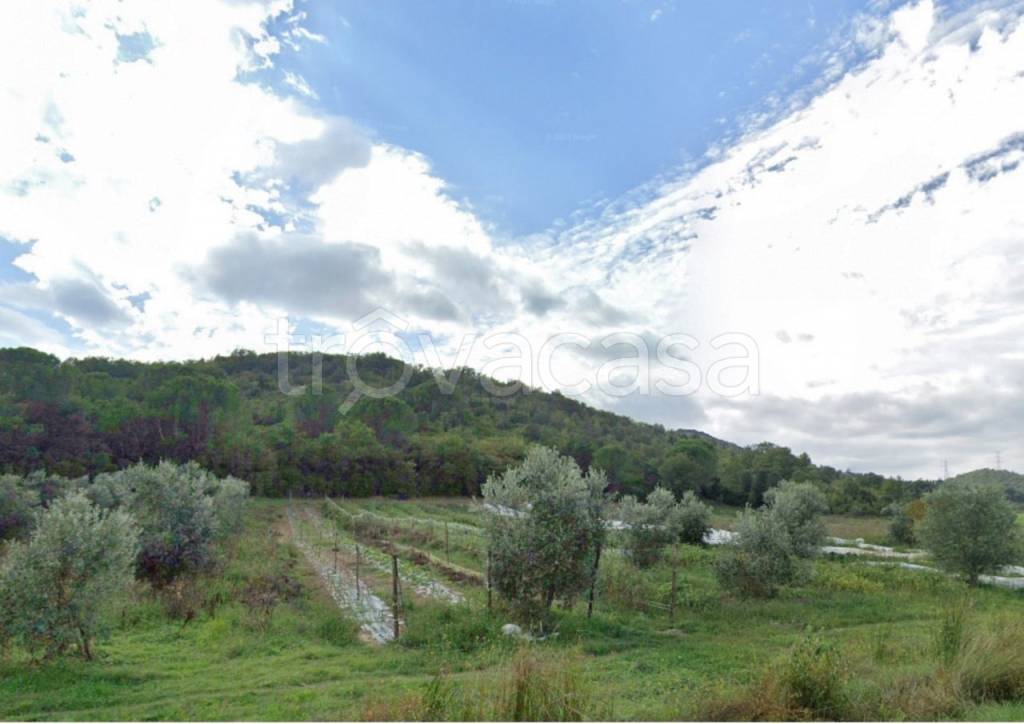 terreno agricolo in vendita a Gavorrano