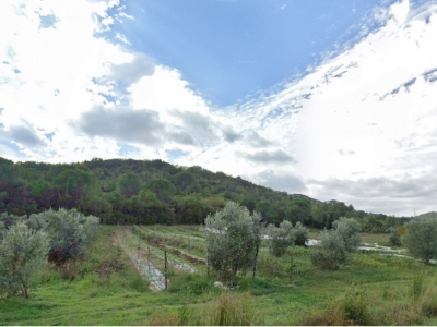 terreno agricolo in vendita a Gavorrano