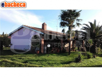 azienda agricola in vendita a Gavorrano