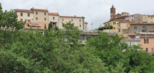 appartamento in vendita a Gavorrano in zona Caldana