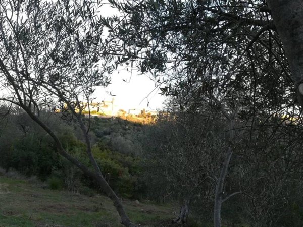 terreno agricolo in vendita a Gavorrano in zona Caldana