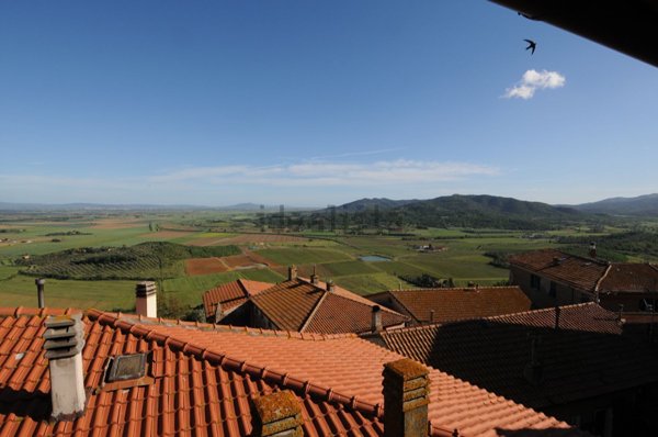 appartamento in vendita a Gavorrano