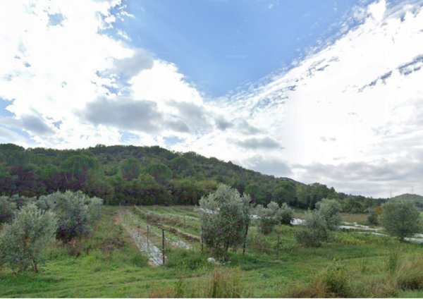 terreno agricolo in vendita a Gavorrano