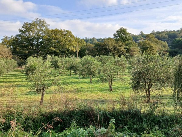 terreno agricolo in vendita a Gavorrano