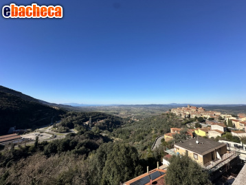 appartamento in vendita a Gavorrano