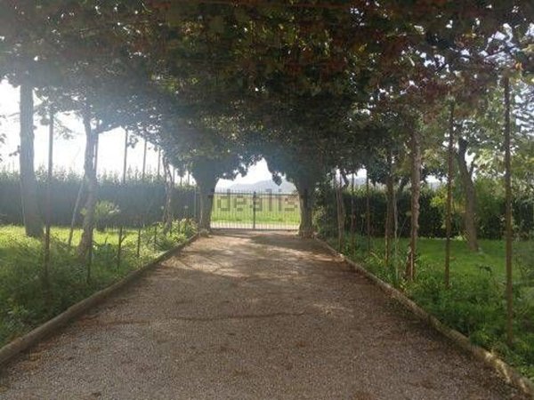 appartamento in vendita a Gavorrano