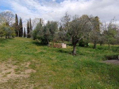 azienda agricola in vendita a Gavorrano