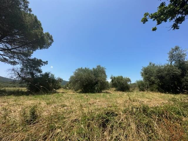 terreno agricolo in vendita a Gavorrano