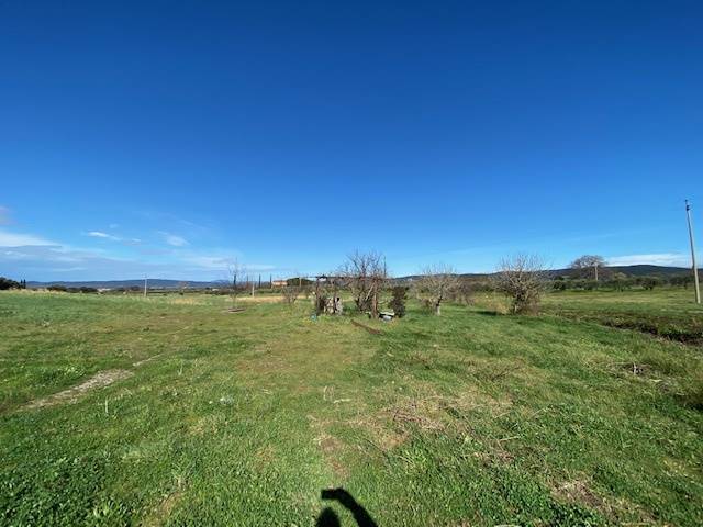 terreno agricolo in vendita a Gavorrano in zona Bagno di Gavorrano