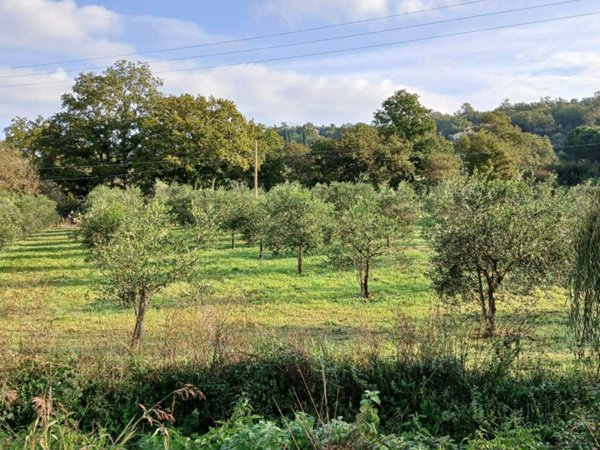 terreno agricolo in vendita a Gavorrano