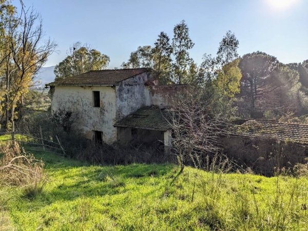 azienda agricola in vendita a Gavorrano in zona Bagno di Gavorrano