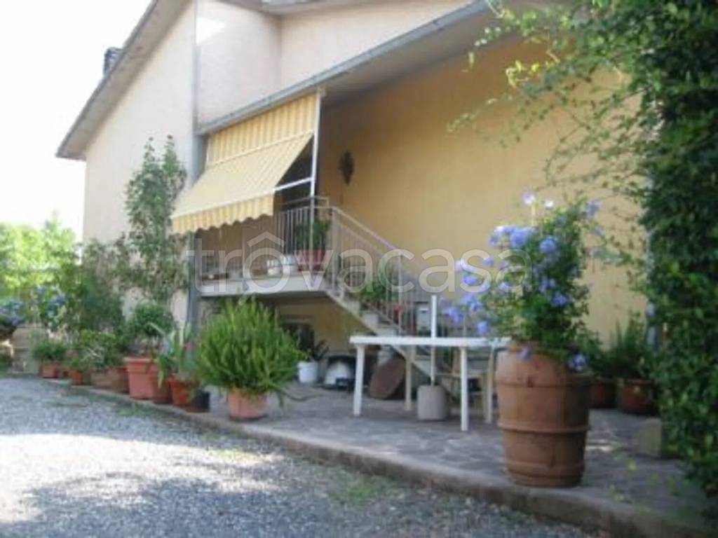 negozio in vendita a Gavorrano