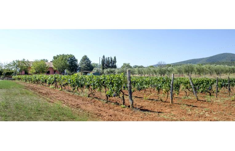 casa indipendente in vendita a Gavorrano in zona Ravi