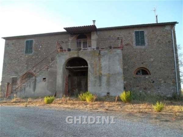 azienda agricola in vendita a Gavorrano