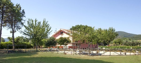 appartamento in vendita a Gavorrano