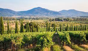 appartamento in vendita a Gavorrano in zona Bagno di Gavorrano