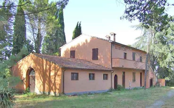 azienda agricola in vendita a Gavorrano