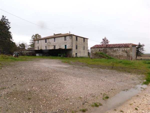 azienda agricola in vendita a Gavorrano