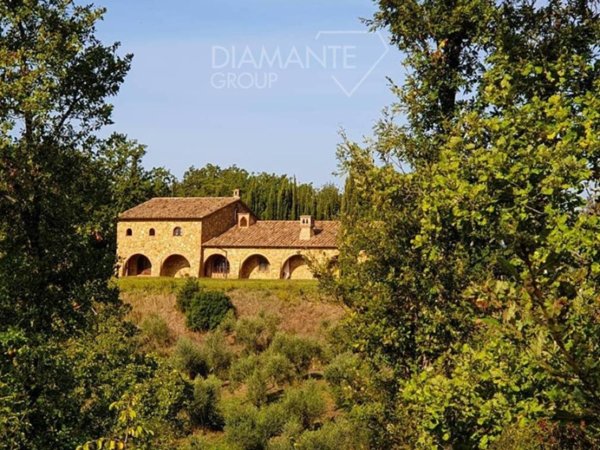 azienda agricola in vendita a Gavorrano