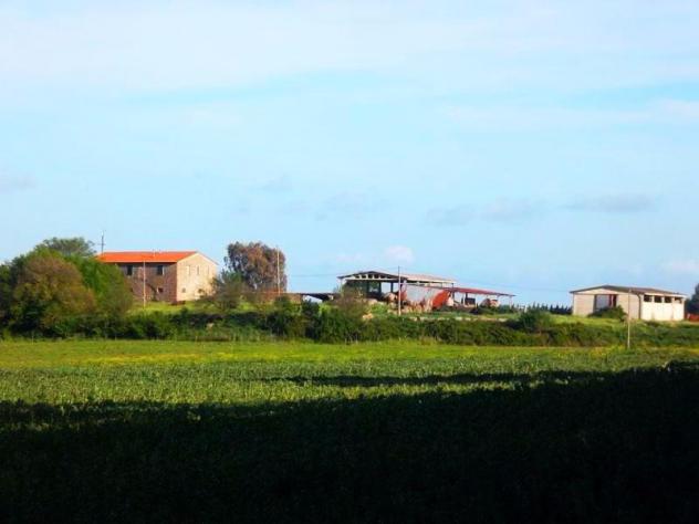 negozio in vendita a Gavorrano