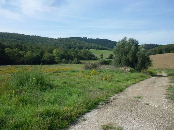 terreno agricolo in vendita a Gavorrano