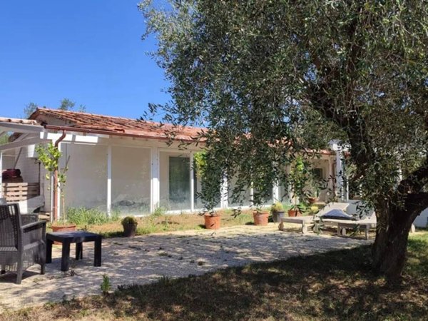 negozio in vendita a Gavorrano